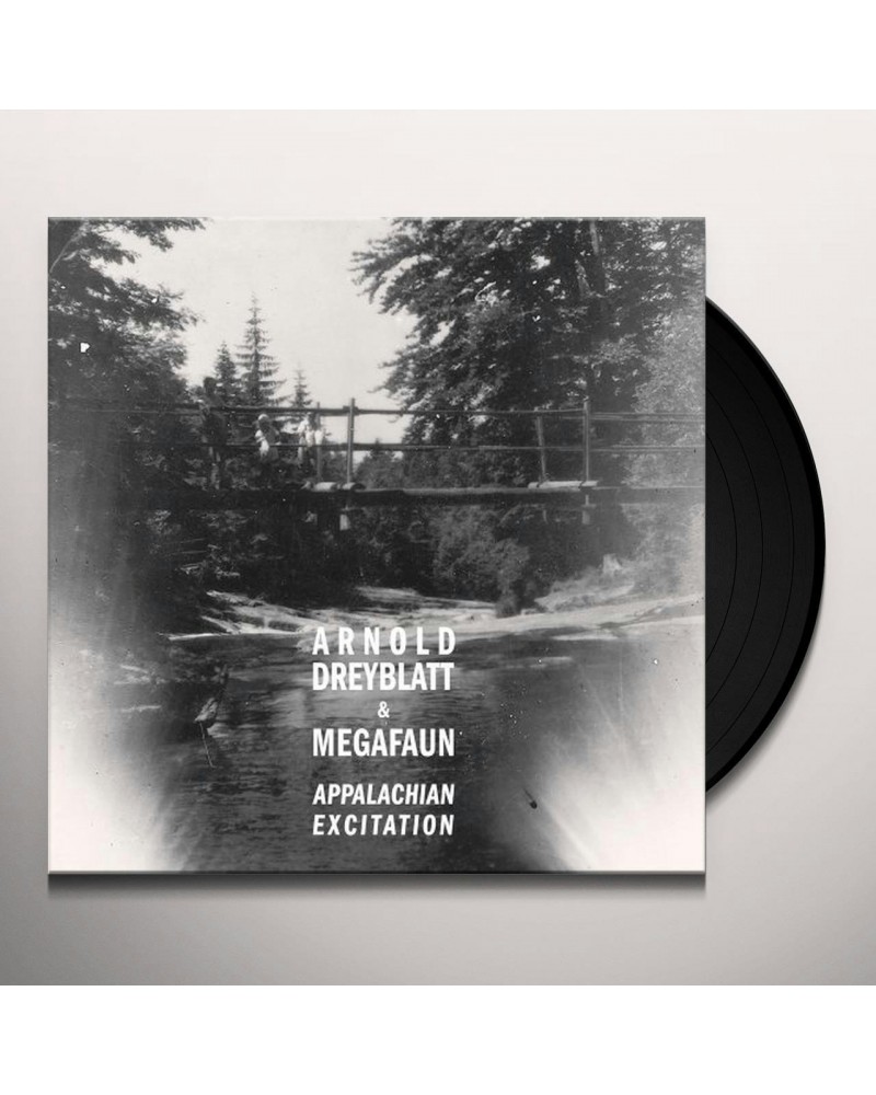 $7.65 Arnold Dreyblatt Appalachian Excitation Vinyl Record Vinyl