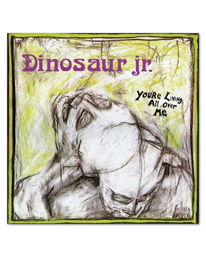 $5.16 Dinosaur Jr. You're Living All Over Me CD CD