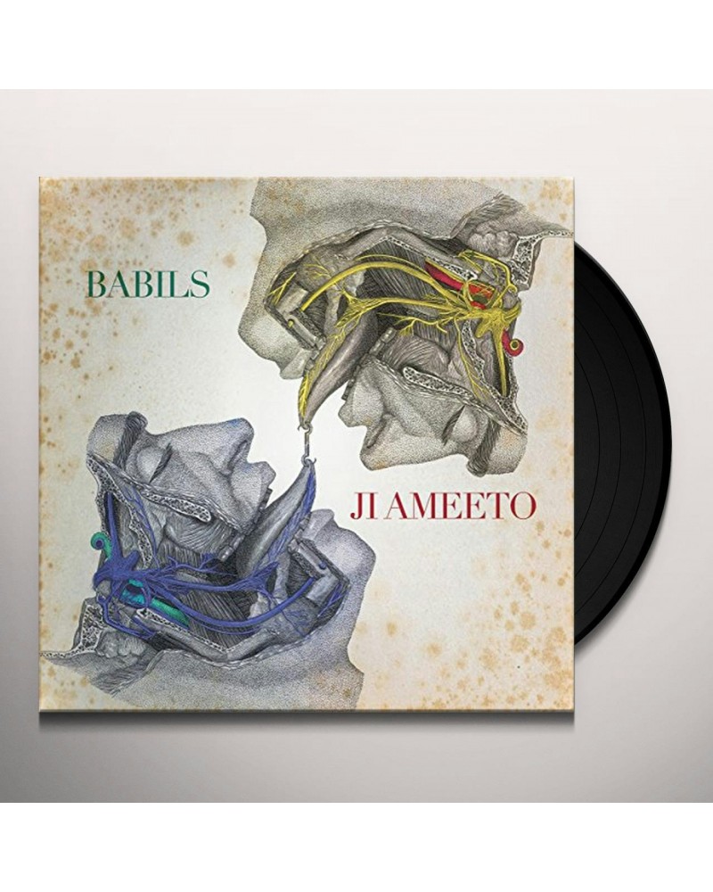 $4.90 Babils Ji ameeto Vinyl Record Vinyl