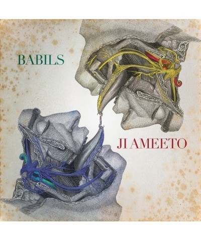 $4.90 Babils Ji ameeto Vinyl Record Vinyl