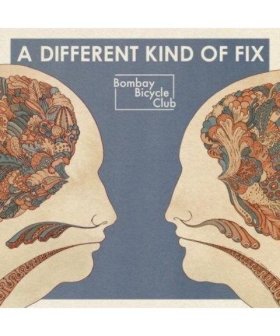 $13.45 Bombay Bicycle Club DIFFERENT KIND OF FIX Vinyl Record Vinyl