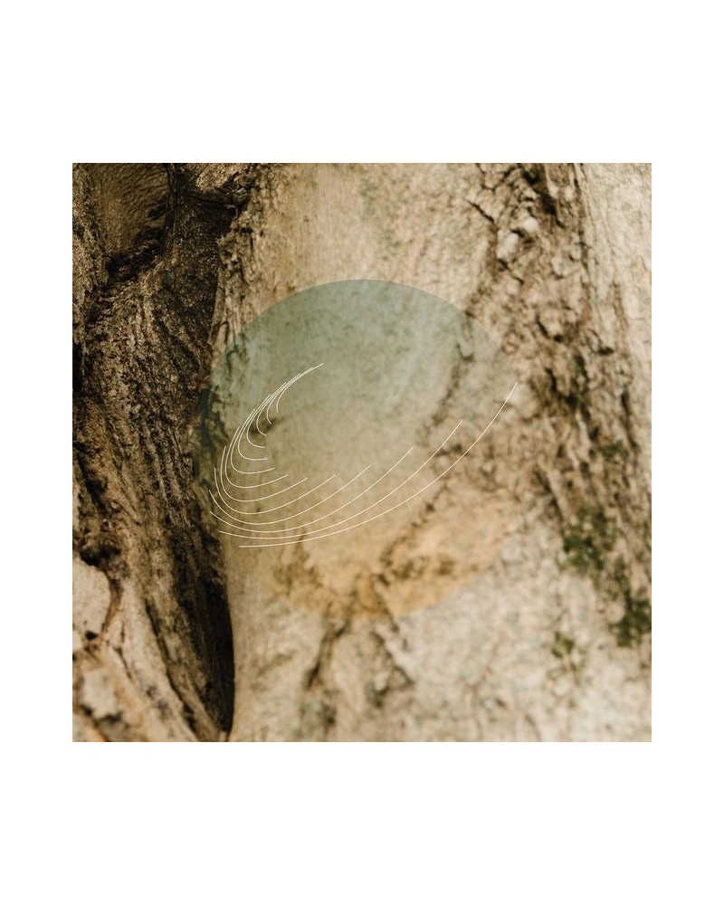 $10.66 Field Works MAPLES ASH & OAKS: CEDARS INSTRUMENTALS (IRIDESCENT MOTHER OF PEARL W/ GREEN UNDERTONE) Vinyl Record Vinyl