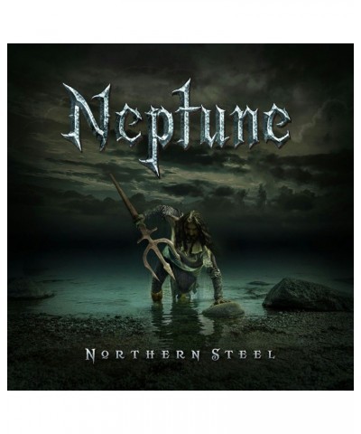 $7.44 Neptune Northern Steel (Black Vinyl) Vinyl Record Vinyl